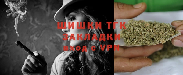 jwh Кропоткин