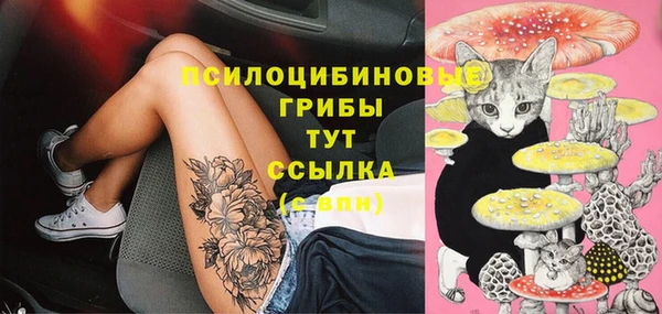не бодяженный Кукмор
