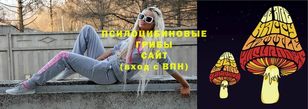 молекула духа Куйбышев